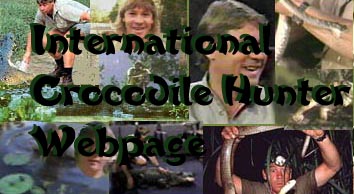 International Crocodile Hunter Webpage
